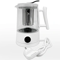 hydrogen water kettle